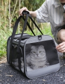Cat bag out bags can be folded with small dog bags.